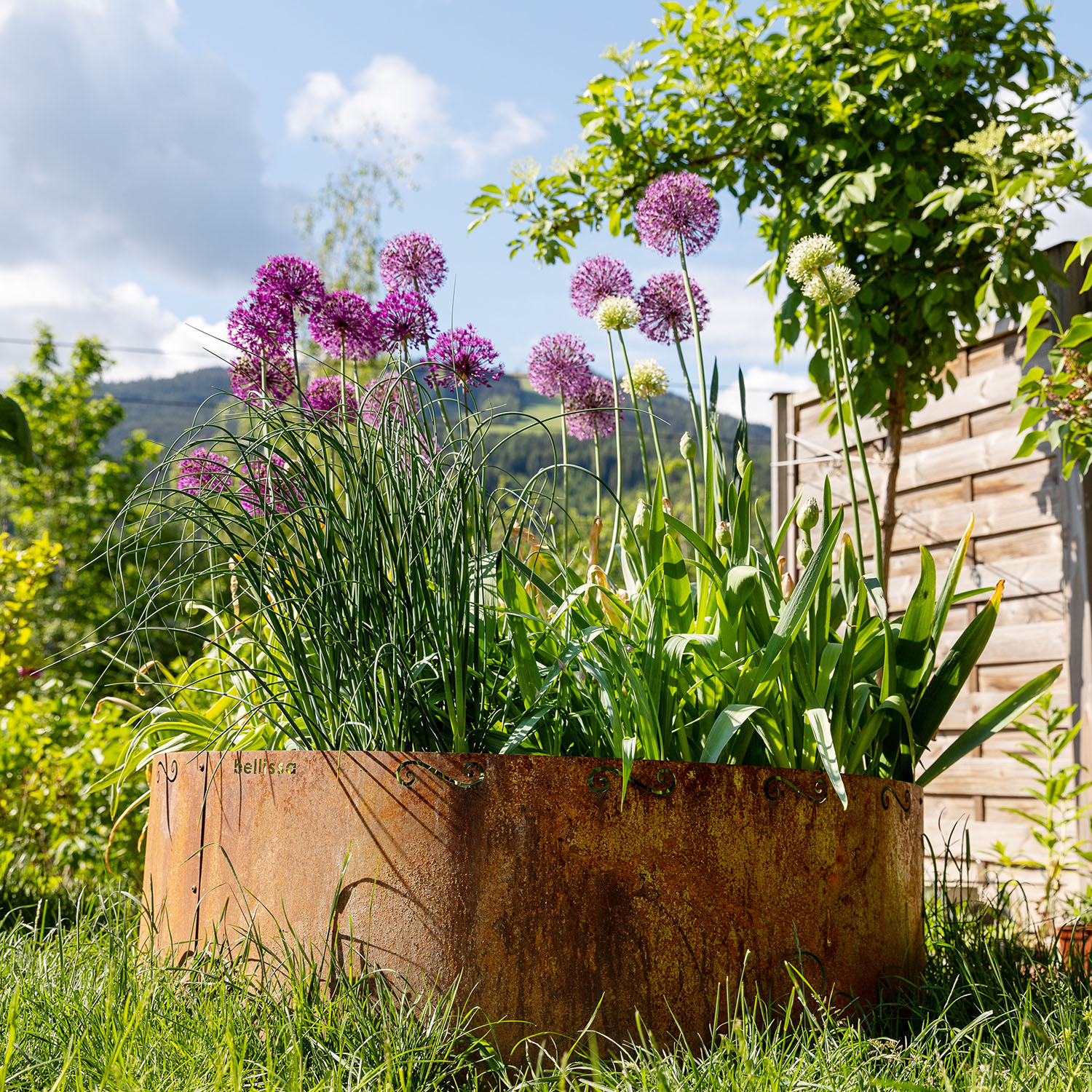 Corten raised bed